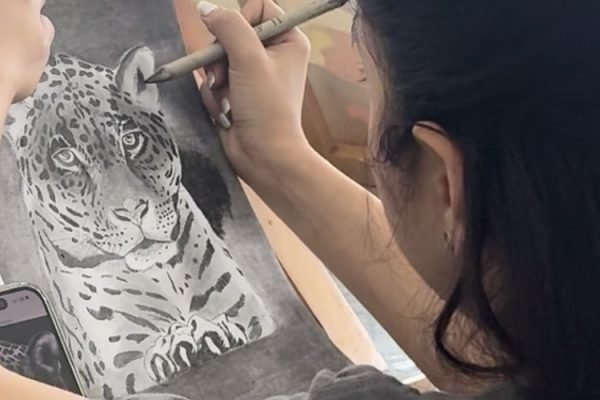 Dibujando a lápiz animales